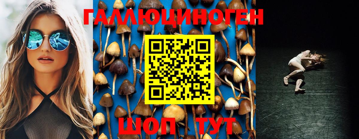 Галлюциногенные грибы Psilocybine cubensis  Галлюциногенные грибы Psilocybe  Вход с VPN  Радужный 